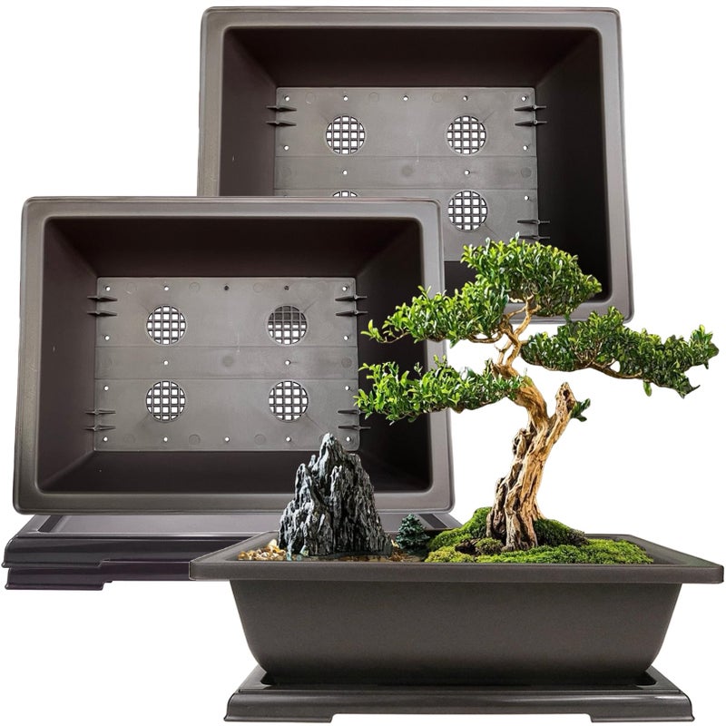 MUZHI 3PCS Large Rectangular Bonsai Tree Pots Planters with Tray 11" - Image 1